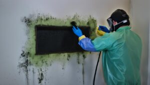 mold removal and remediation services in iowa